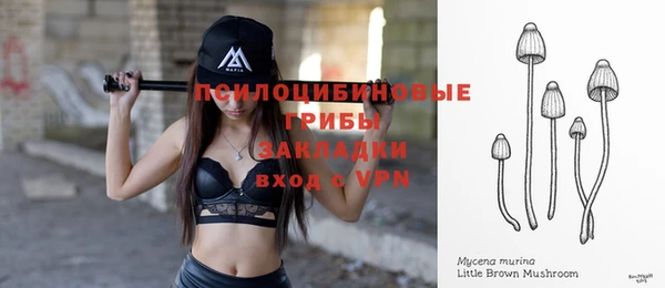 спайс Алзамай