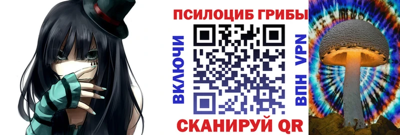 Псилоцибиновые грибы Cubensis Гурьевск