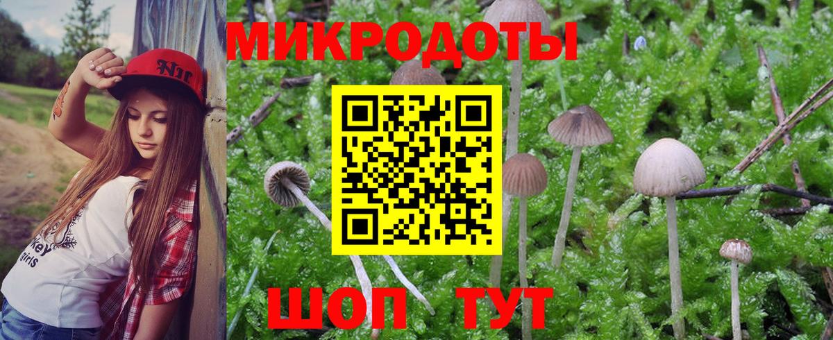 Псилоцибиновые грибы GOLDEN TEACHER Гурьевск