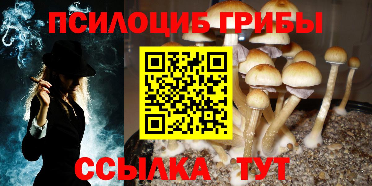 Галлюциногенные грибы Psilocybine cubensis  Псилоцибиновые грибы Psilocybine cubensis  Гурьевск  Вход с VPN 